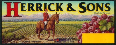 Herrick   Sons